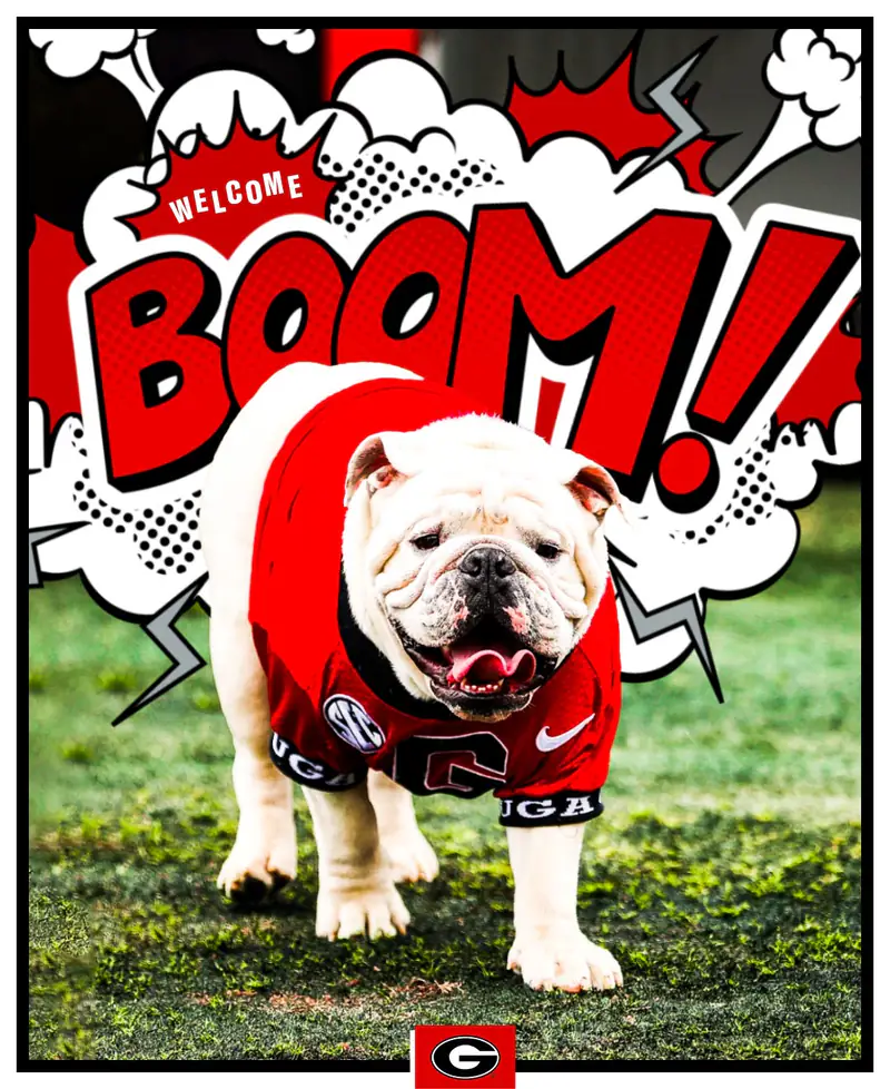 Uga XI, Boom